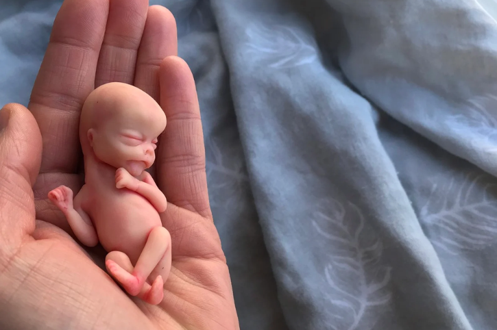 Embryo 12 weeks – Tender Foot Jewels