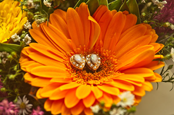 ALONDRA - TEAR DROP EARRING