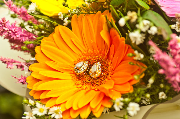 ALONDRA - TEAR DROP EARRING