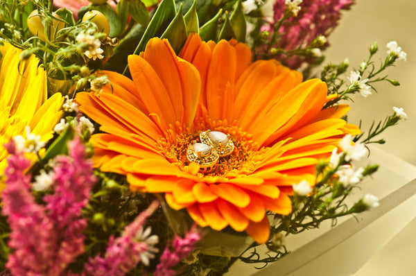 ALONDRA - TEAR DROP EARRING