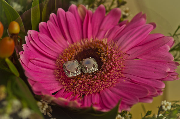 ARMIDA - RECTANGLE EARRING