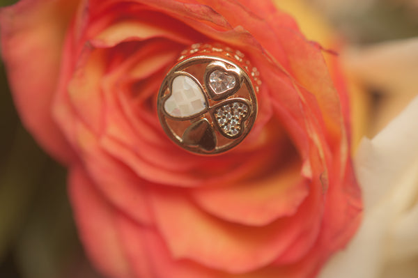 ABE - DOUBLE SIDED CLOVER CHARM