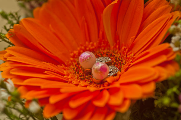 CONCETTA - PEARL EARRING