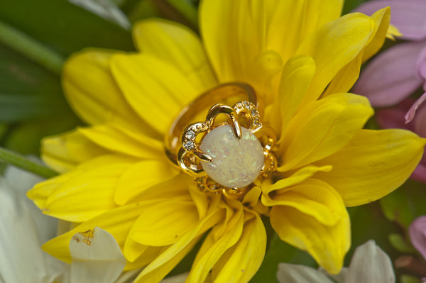 CALLIOPE - OVAL RING