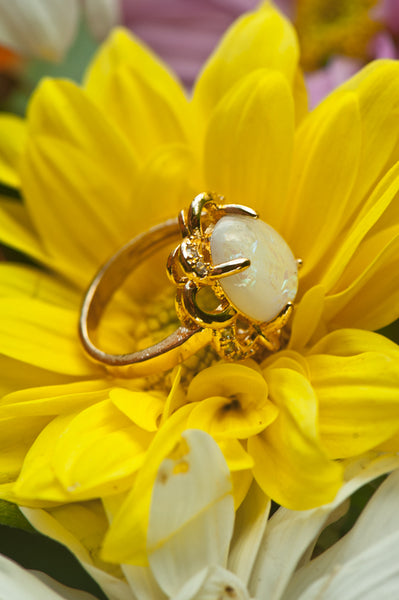 CALLIOPE - OVAL RING