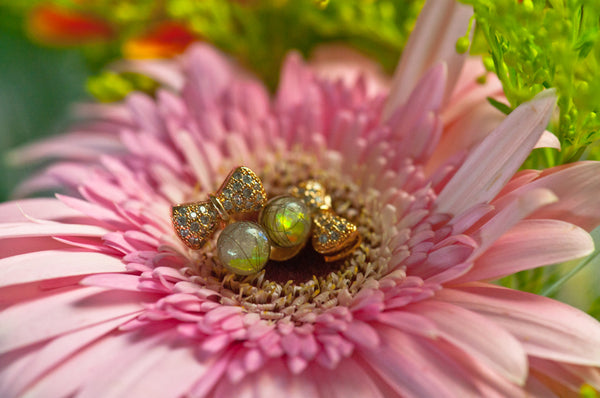 MAHALIA - RIBBON PEARL EARRING