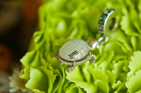 JAN - SEA TURTLE DANGLE CHARM
