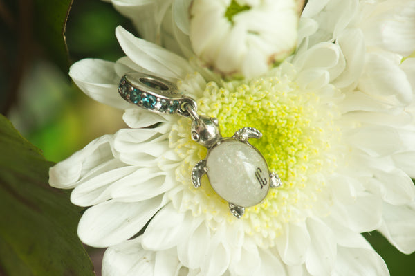 JAN - SEA TURTLE DANGLE CHARM
