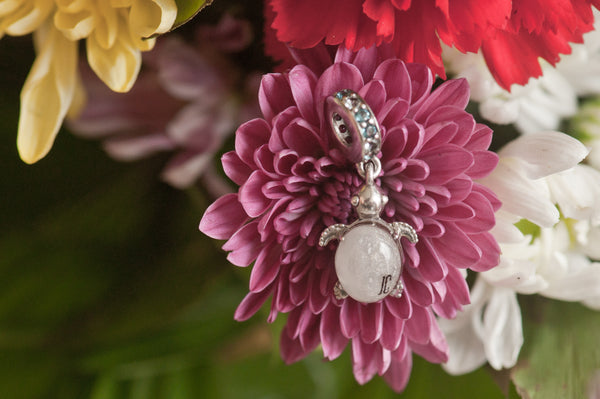 JAN - SEA TURTLE DANGLE CHARM