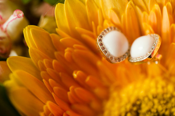 JELLY - SQUARE EARRING