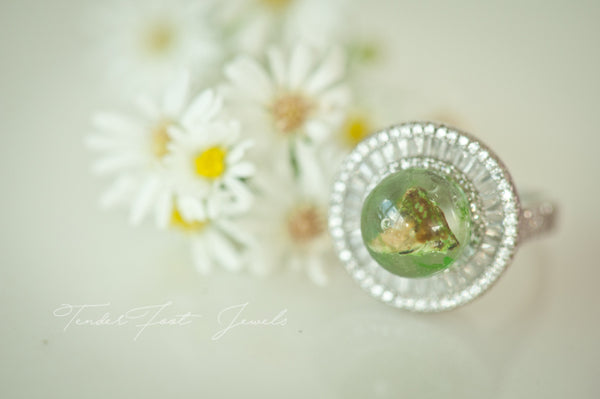 MARA - CORONATION PEARL RING