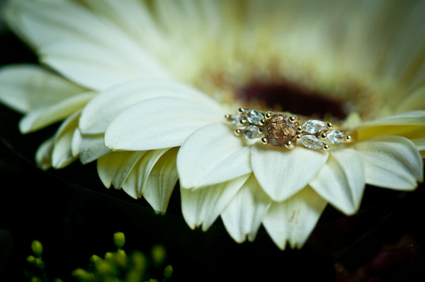 MIRABEL - PRINCESS RING