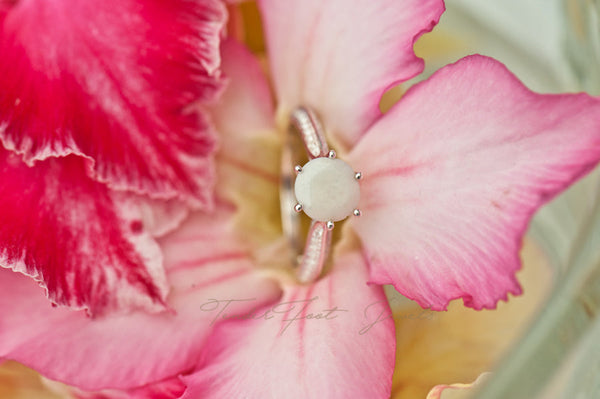 PADME - PRINCESS RING