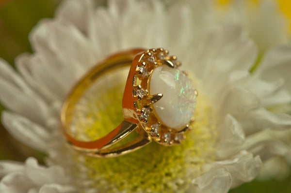CALISTA - OVAL RING