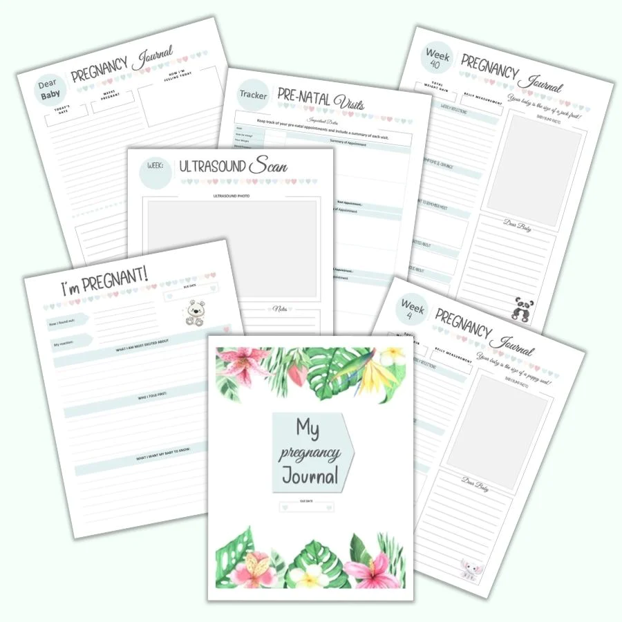 Pregnancy best sale memory book